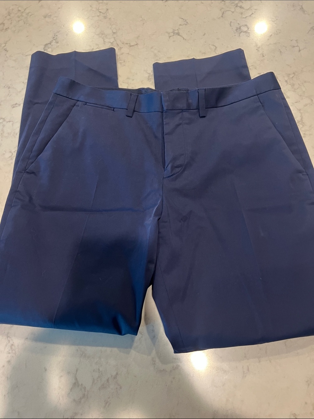 Express Men's Navy Blue Dress Pants
